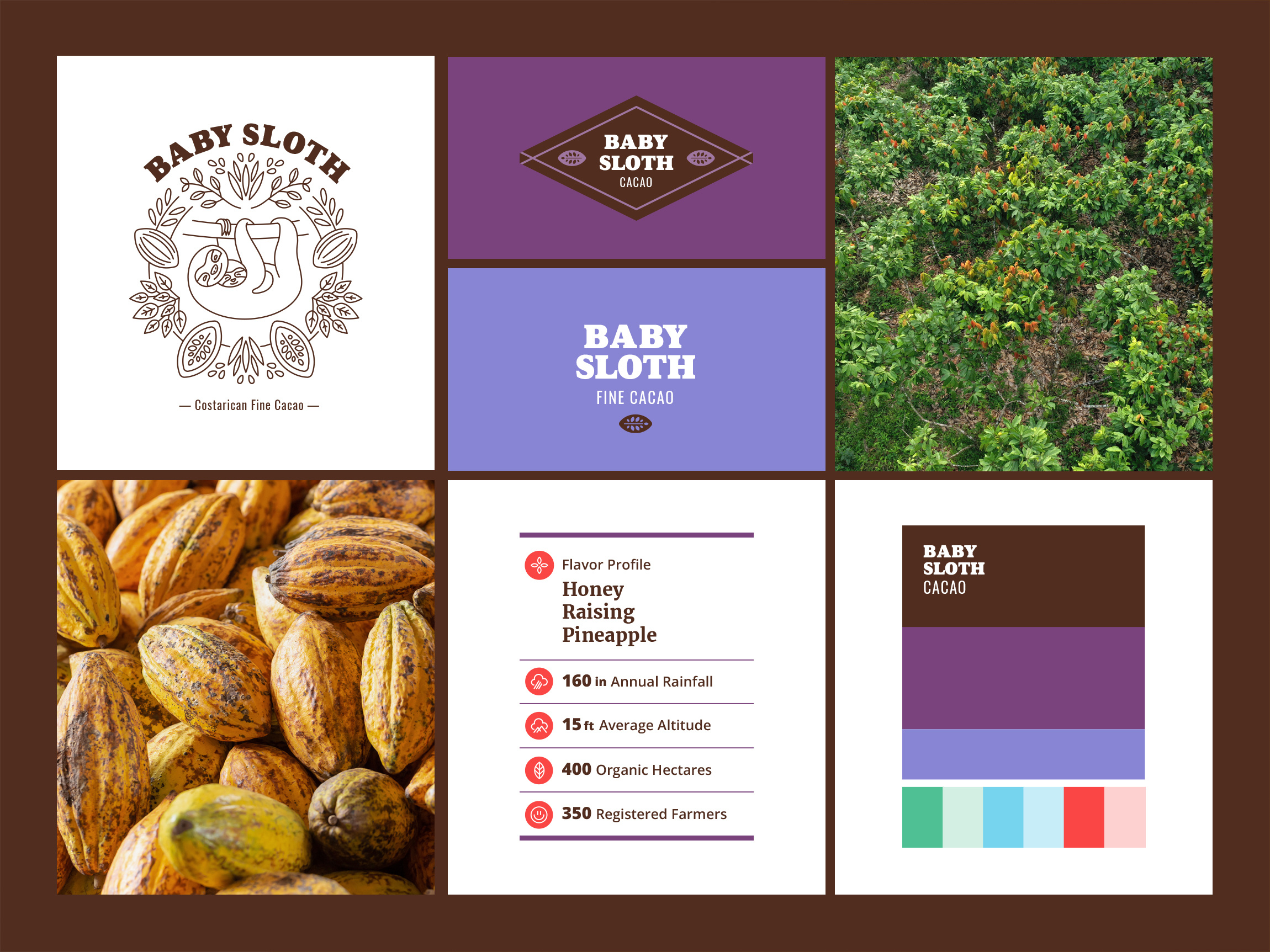 Example of Brand Identity Or Brand Refresh