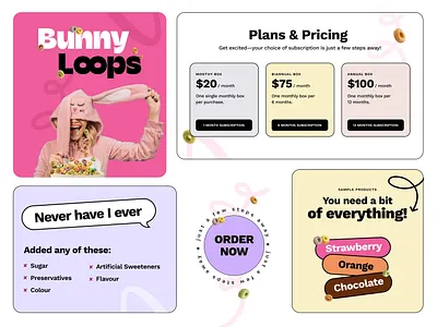 Bunny Loops Branding: Visual Design brand guidelines brand identity branding design graphic design illustration interface logo minimal designs modern logo packaging plans and pricing typography visual design visual identity