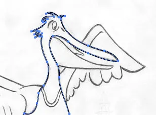 Tracing bird drawing illustration illustrator