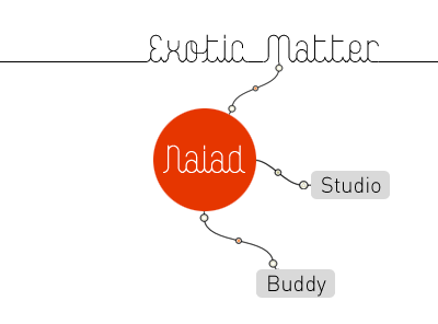 1st take on EM identity exoticmatter idea identity profile