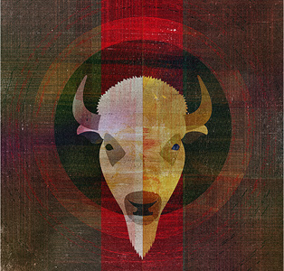 Bye, Son. bison illustration random texture wtf