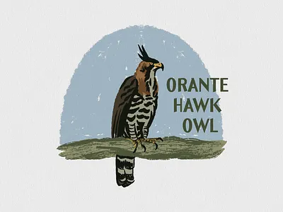 Bird Illustration No.4 bird bird illustration graphic design illustration nature illustration