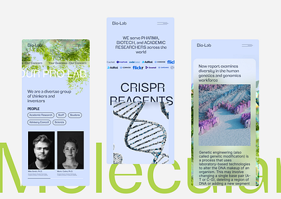 Ui redesign for Bio-Lab branding design figma logo ui ux web website