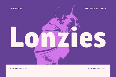 Lonzies Display Sans Serif Soft Bold Font animation branding design font fonts graphic design illustration logo motion graphics nostalgic sport ui