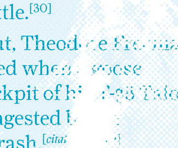 Birdstrike crop editorial illustration typography
