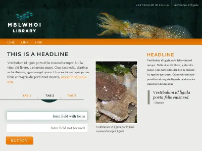 Woods Hole Library Website moodboard website