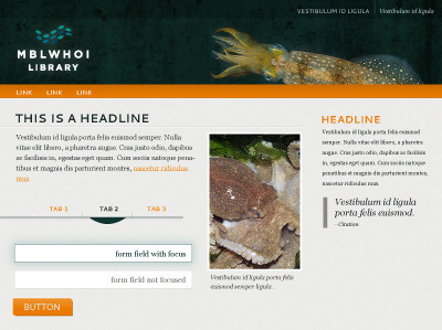 Woods Hole Library Website moodboard website