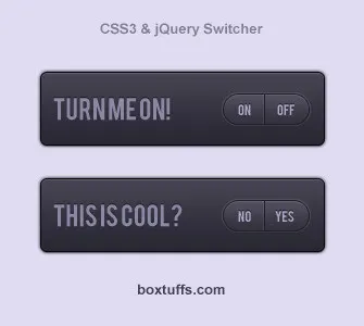 ON/OFF CSS3 Switcher boxtuffs css3 jquery purple switch switcher