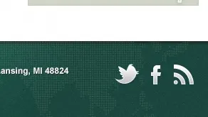 Footer Snippet footer icons