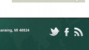 Footer Snippet footer icons