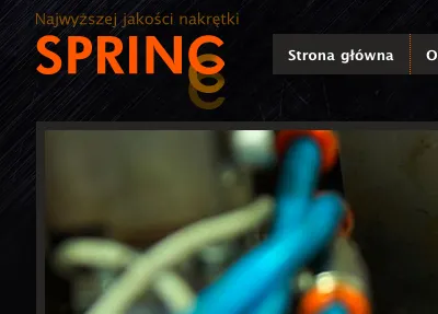 Spring logo webdesign