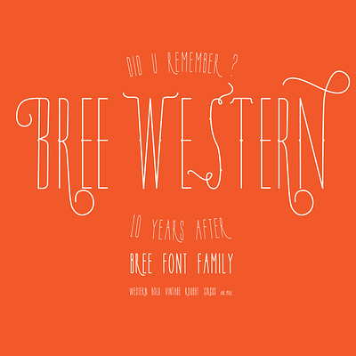 BREE THE COMPLETE FONT FAMILY cowboy font typeface typography vaquero western