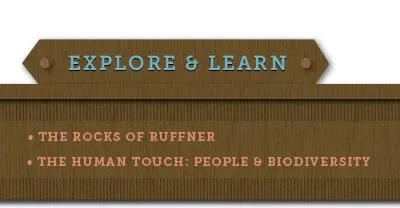 lower menu signage fake wood grain museo slab