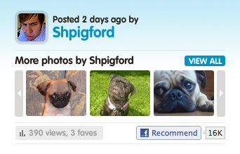 PugSpot: Posted by blue photos pugspot