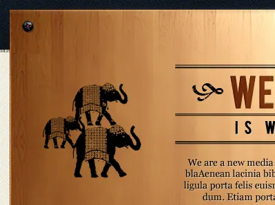 Fidiz Solutions. Main page banner banner elephants fidiz header indian art wood