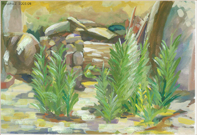sketch from nature draw sketch