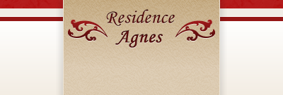 Residence Agnes (almost) logo fireworks logo logo design
