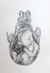 Safe inside. baby portrait