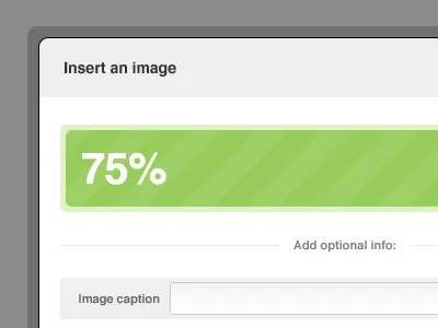 Image upload form green helvetica kickstarter modal progress wysiwym