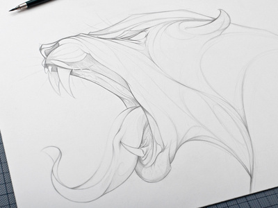 Leo animal graphite illustration process sketch