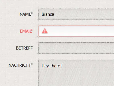 Contact Form contact error form
