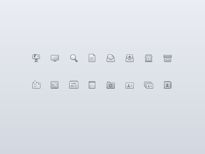 Monochrome set icons lion