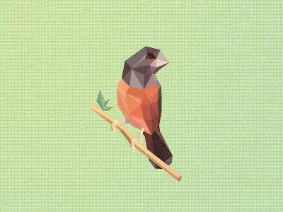 Poly Bird Logo bauru bird bitencourt brand brand identity branding brasil brazil breno breno bitencourt cubic curió design design studio featured identidade de marca identidade visual identity logo logodesign logodesigner logotipo logotype lopoly lowpoly poly polygon visual identity