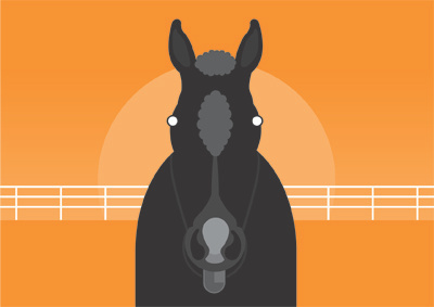 Straight Talking horse illustration sunset talking