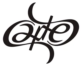 Carter ambigram typography vector