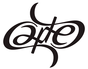 Carter ambigram typography vector