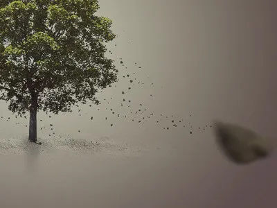 Tree tree wallpaper