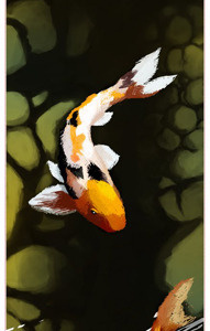 Skateboard Template 2 board fish green koi orange skate