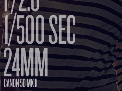 Project365 Shot Data arizona interior knockout photography portfolio typography