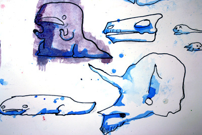 Amphibians and bones bones crowd grafighters illustration objects salamanders water colors