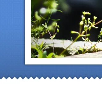 Picture border blue border image picture sawtooth shadow zag zig