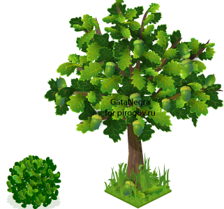 Back Pir background game design social game tree vector