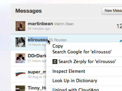 Search On Zerply Chrome Extension