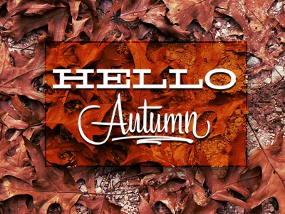 Hello Autumn autumn seasons