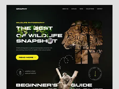 Wildlife Photography Landing Page animal creative creative direction design home page landing page modern nature photo photographer professional ui uiux web web design website website design wildlife
