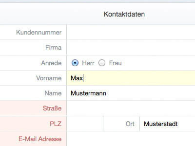 Simple Form clean form formular minimal minimalistic simple