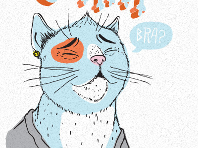 Bro Cat bra brah bro broham brosif cat mr. meow meows wicked
