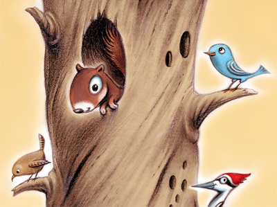 Snag animals birds snag squirrel