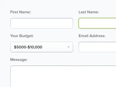 Proxima Nova — I love you! active client fields form inactive ui ux