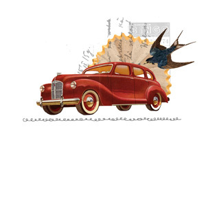 The Red Car bird car collage
