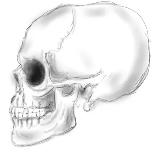 Skull Side Quick bamboo ipad sketchbook pro sketching stylus wacom