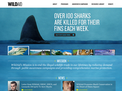 Wild Aid Concept blue buttons georgia knockout ocean rollovers type typography web