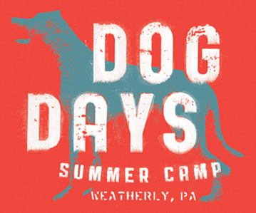 Wonderboy Dog Days apparel childrens wear martin duffy tee wonderboy
