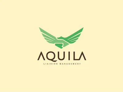 Aquila Logo - Final bauru bitencourt brand brand identity branding brasil brazil breno breno bitencourt design design studio eagle featured flight handshake identidade de marca identidade visual identity liaison logodesign logodesigner logotipo logotype management visual identity wings