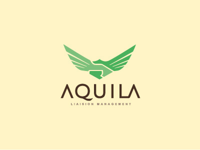 Aquila Logo - Final bauru bitencourt brand brand identity branding brasil brazil breno breno bitencourt design design studio eagle featured flight handshake identidade de marca identidade visual identity liaison logodesign logodesigner logotipo logotype management visual identity wings