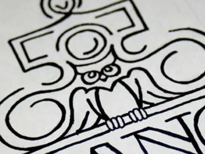 Pang Sketch camera owl photography sketch